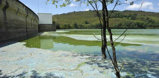 ADEGA critica a resposta da Xunta á contaminación por nitratos