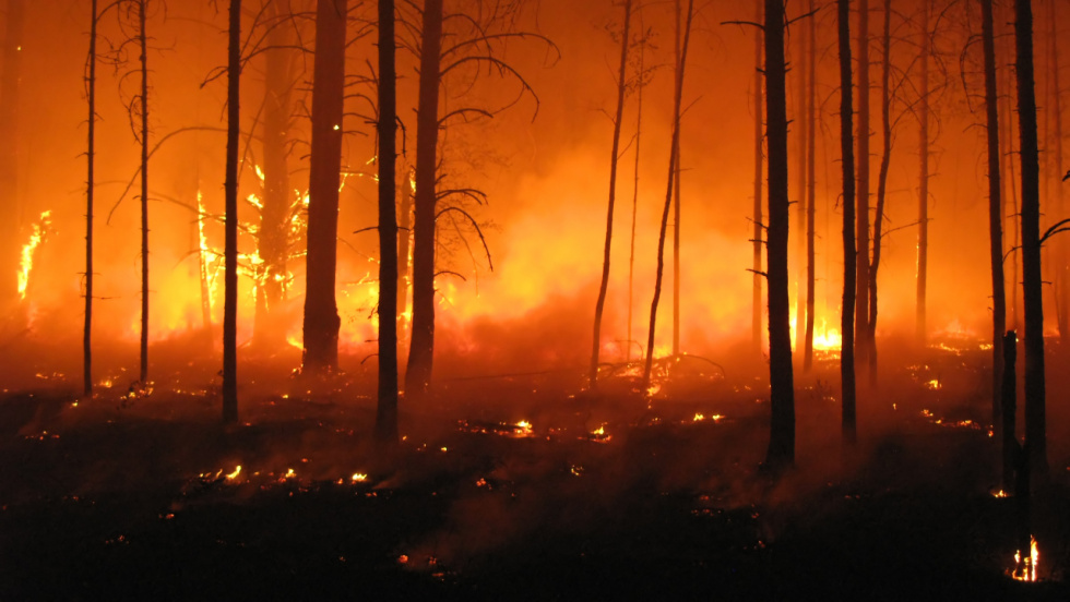 O Pladiga 2026 amplía recursos humanos e aposta pola colaboración cidadá na detección de incendios