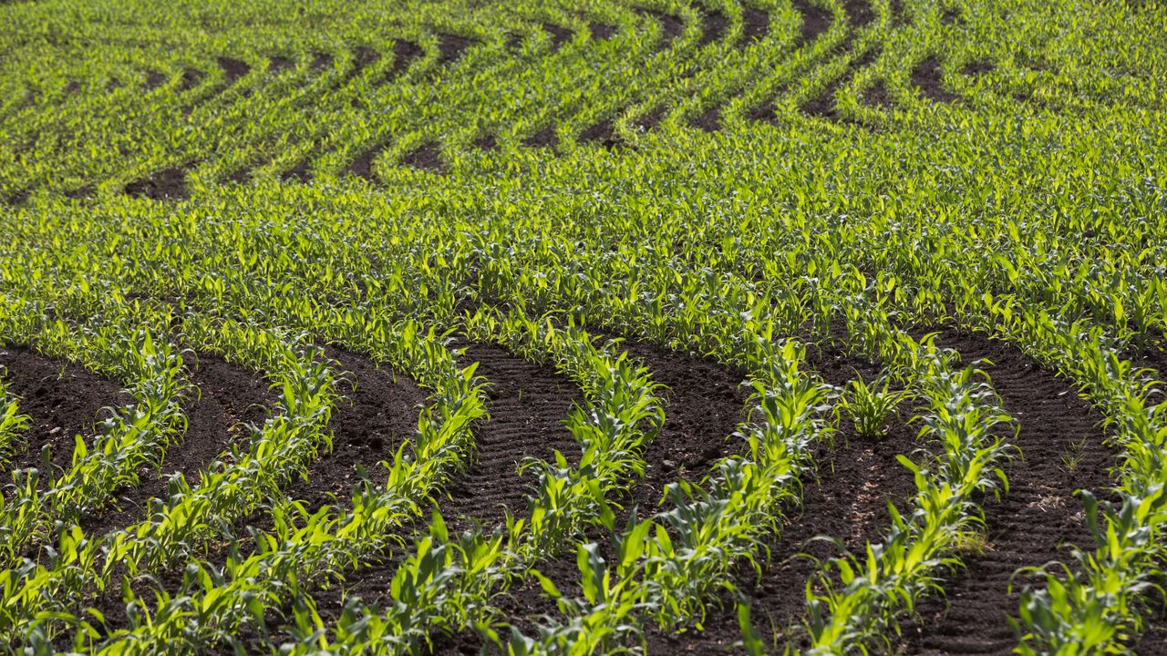 O Goberno modifica o decreto de fertilización: máis requisitos e sen melloras para agricultores e gandeiros