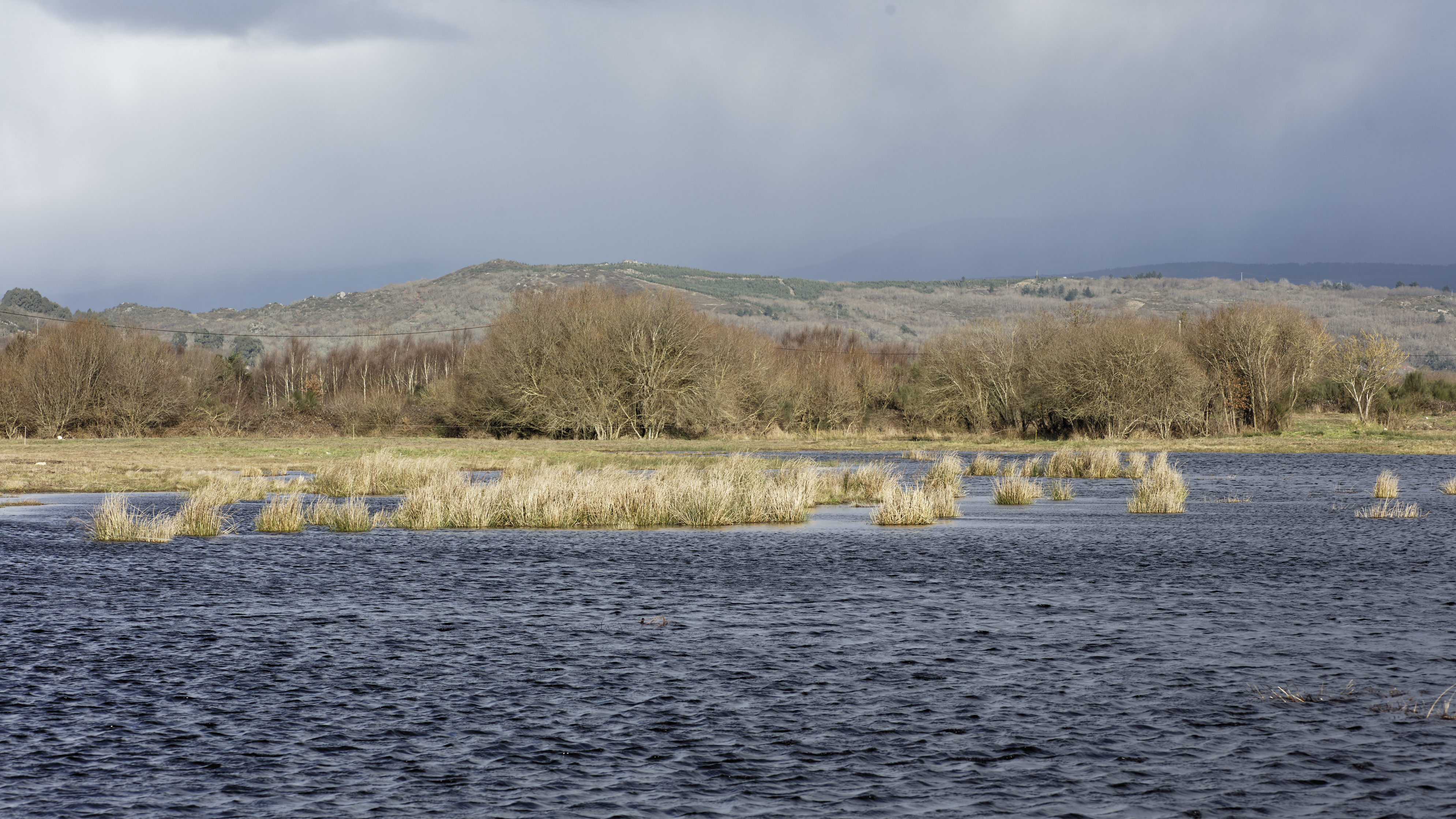 O Grupo Naturalista Hábitat reclama  á Xunta e ao Estado unha estratexia máis ambiciosa para recuperar humidais galegos