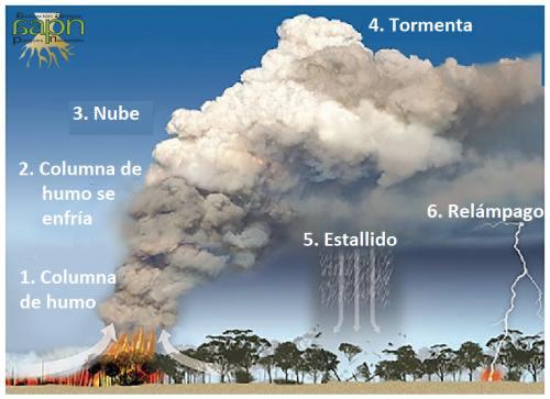 Inexactitudes y asignaturas pendientes en torno a los incendios forestales