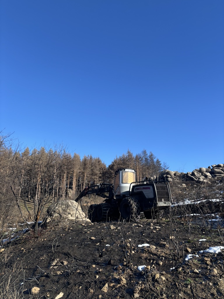 Estudos alertan de que a extracción inmediata de madeira queimada pode aumentar a erosión e dificultar a recuperación do solo