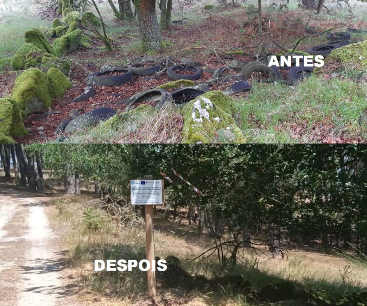 As actuacións da Xunta e a concienciación cidadá fixeron posible reducir nun 577% o número anual de PVI en sete anos