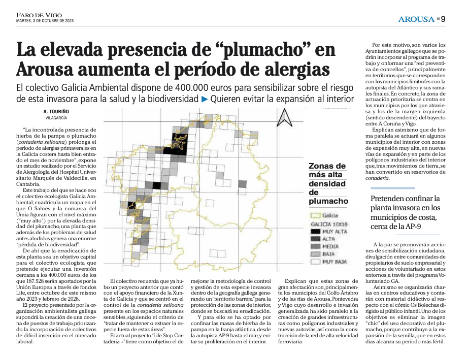 La elevada presencia do “plumacho” en Arousa aumenta el período de alergias
