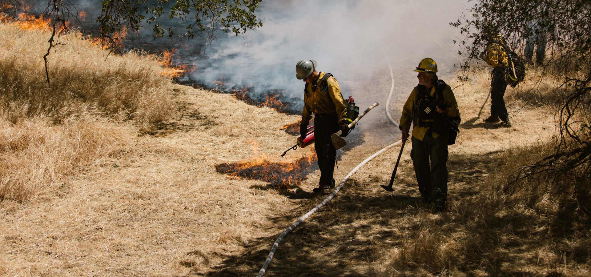 NO,  NO NECESITAMOS MÁS BOMBEROS FORESTALES