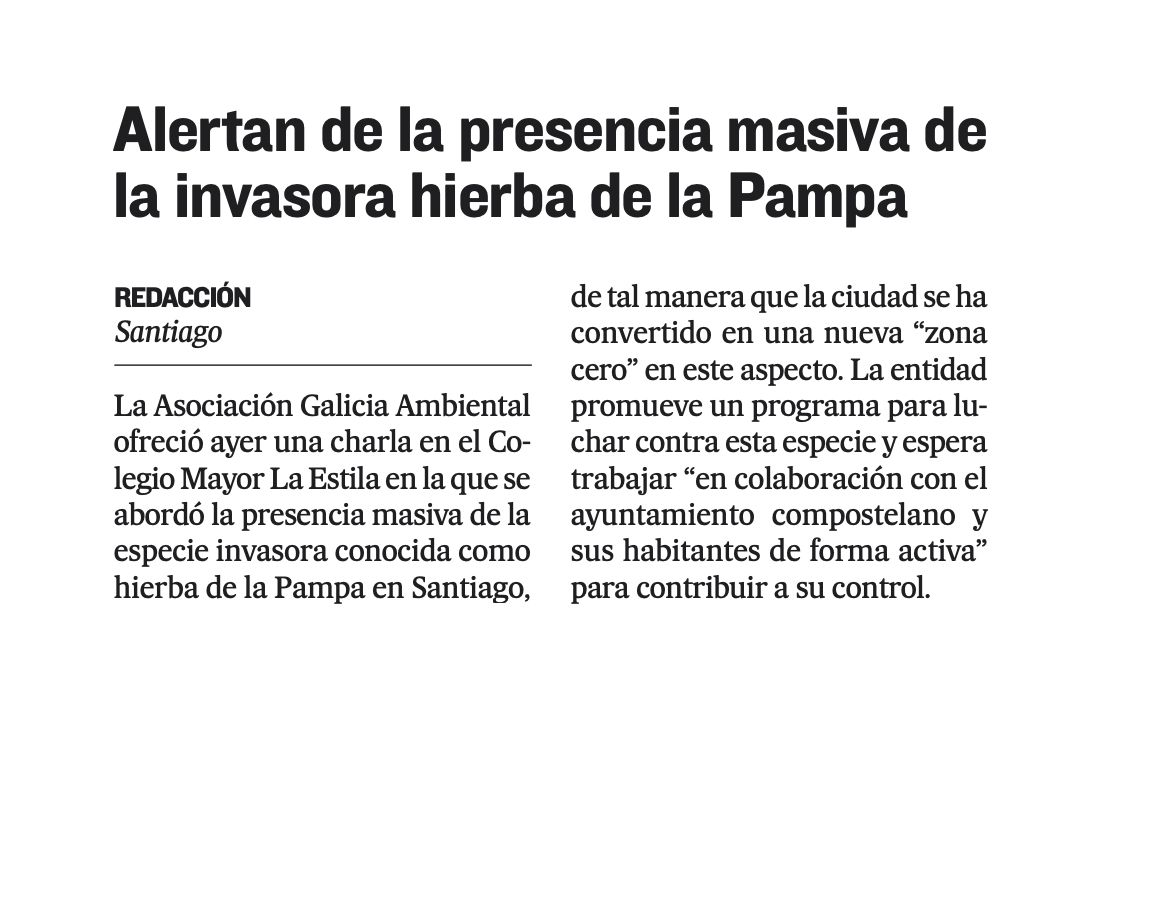 Alertan de la presencia masiva de la invasora hierba de la Pampa