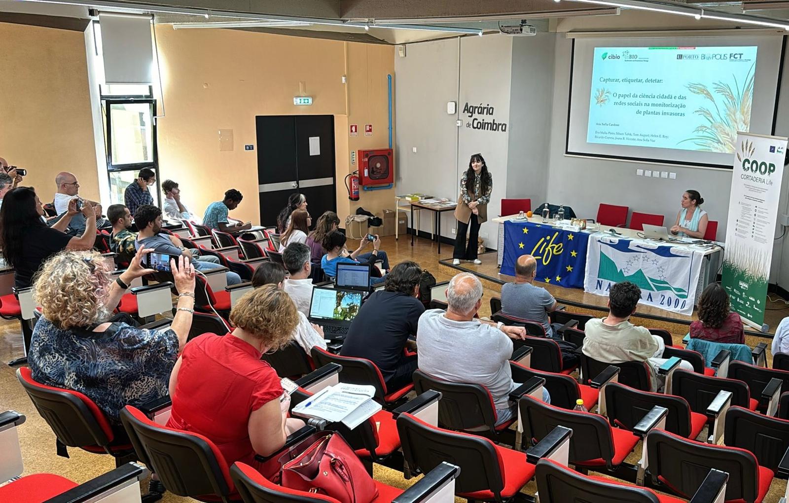 1ª Reunión LIFE Coop Cortaderia: A Herba da Pampa supón un gran risco para a saúde das persoas