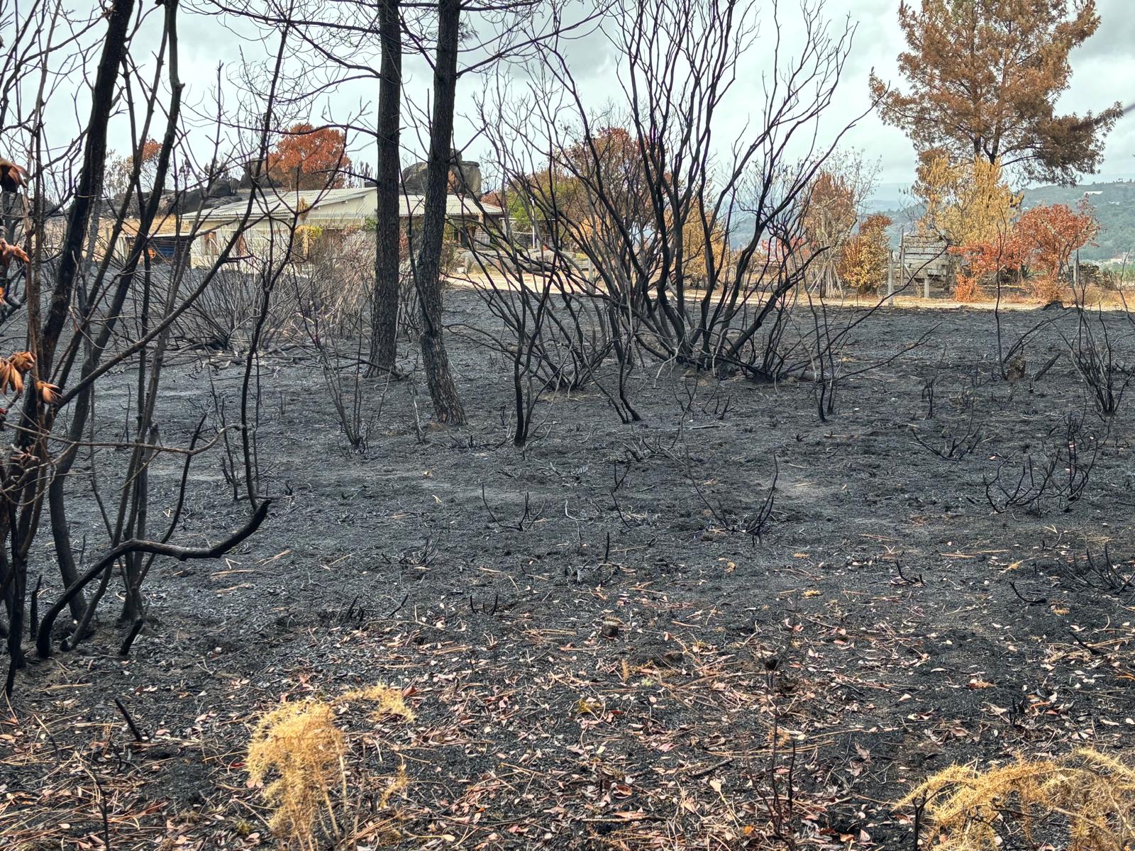Galicia logra controlar a maioría dos incendios tras semanas de devastación
