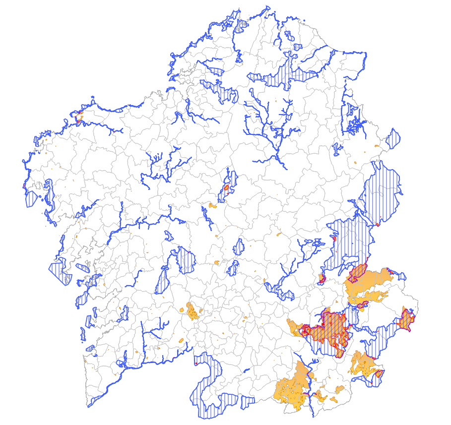 A vaga de incendios de agosto arrasou espazos protexidos en Ourense e deixou a maior pegada na Rede Natura 2000 desde 2004