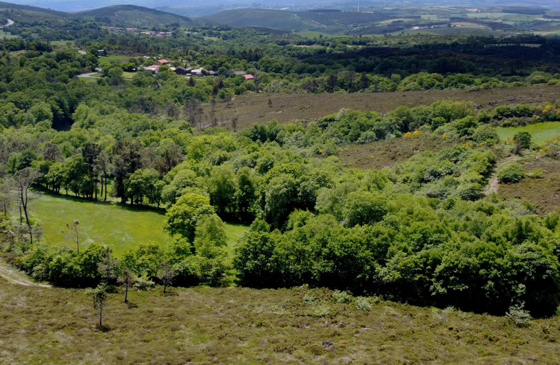 O TSXG paraliza outros tres parques eólicos en Galicia, sumando 62 suspendidos este ano por risco ambiental