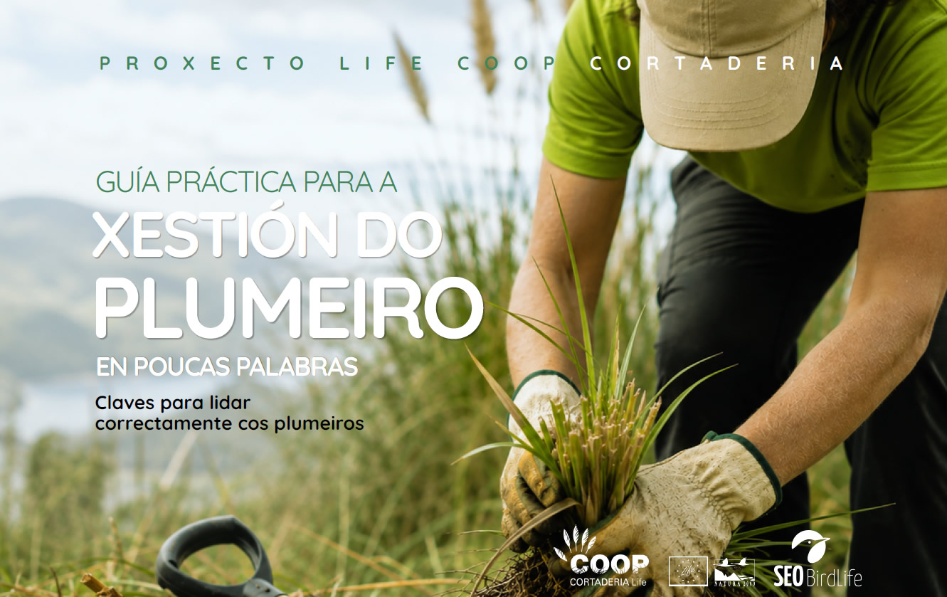 GUIA PRÁCTICA PARA A XESTIÓN DO PLUMEIRO