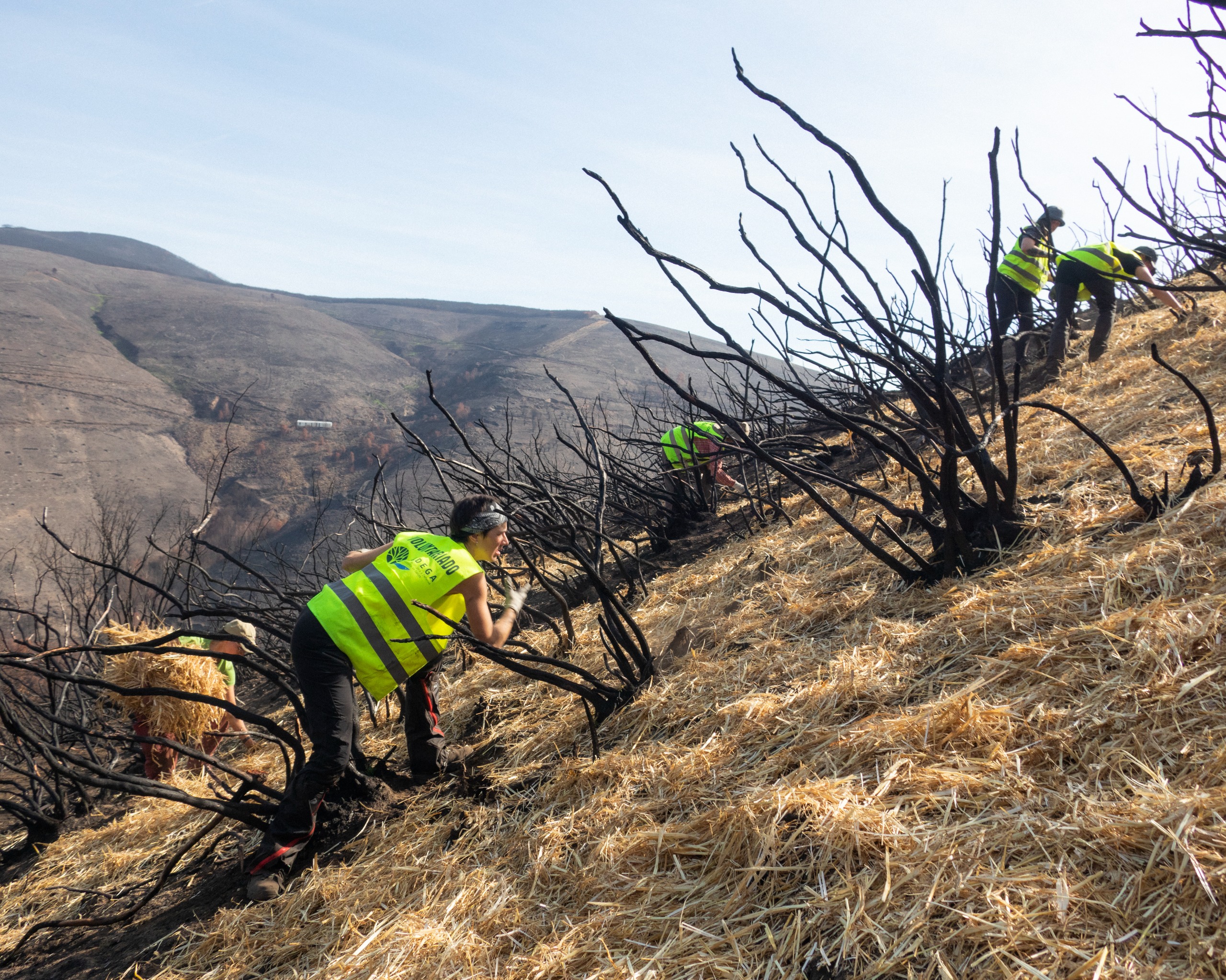 ADEGA denuncia a “mínima” restauración tras a vaga de lumes de 2025 e alerta da perda masiva de solo en Galicia