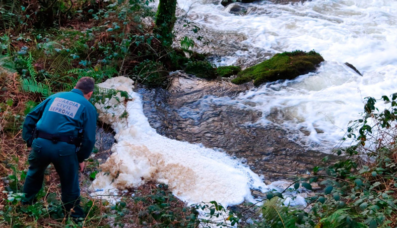 Investigación de un vertido de purín hacia el cauce del río