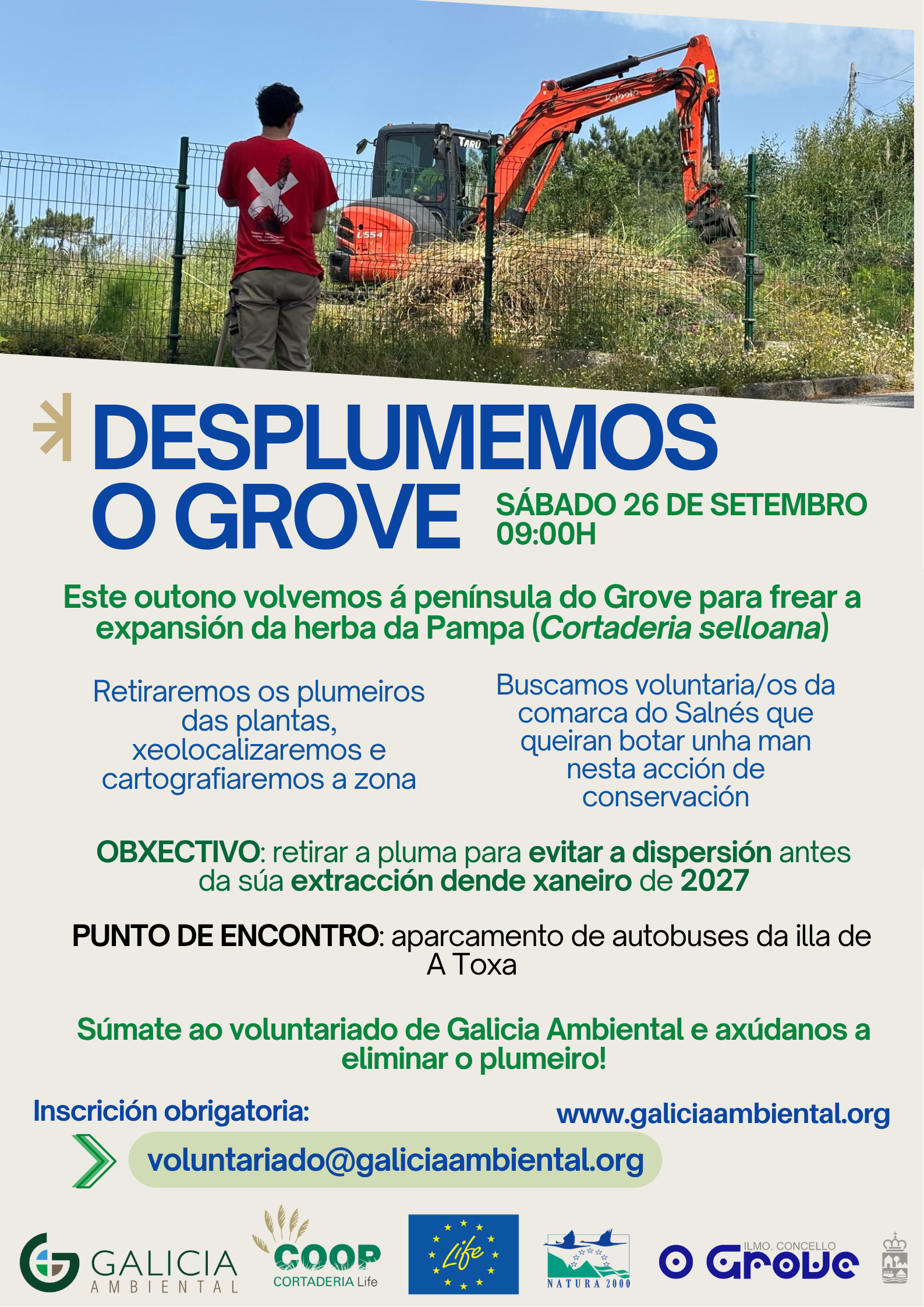 Xornada de voluntariado de extracción do plumeiro da Pampa en O Grove