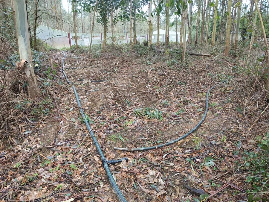 A Garda Civil investiga un suposto vertido de xurros en Abegondo 