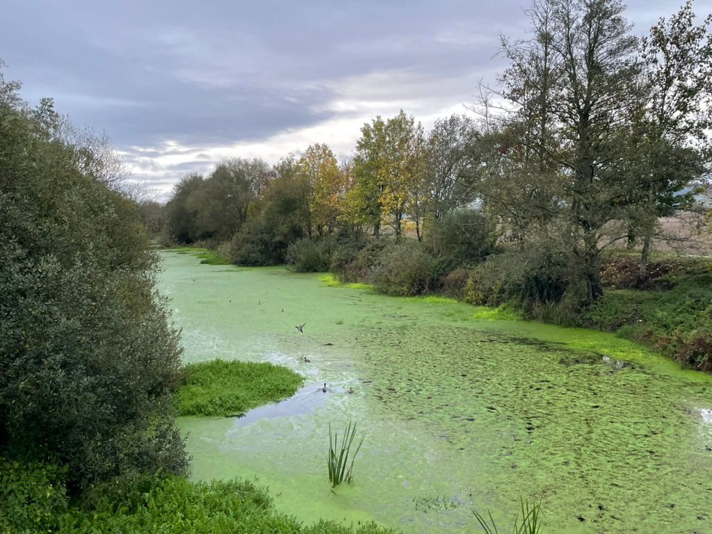 O I Congreso Ibérico do Río Limia reunirá en maio en Ponte de Lima expertos e entidades de Galicia e Portugal