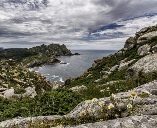 El Consejo de Ministros autoriza la inclusión del Parque Nacional Marítimo-Terrestre de las Islas Atlánticas (Galicia) en la Lista Ramsar de humedales de importancia internacional