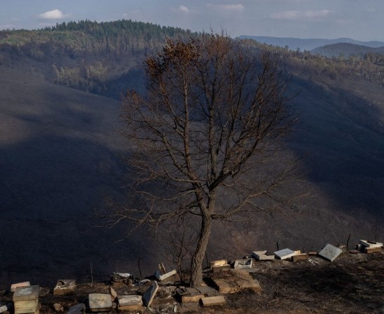 A Xunta destina 4 millóns de euros a axudas para as explotacións danadas polos incendios do Courel e Valdeorras