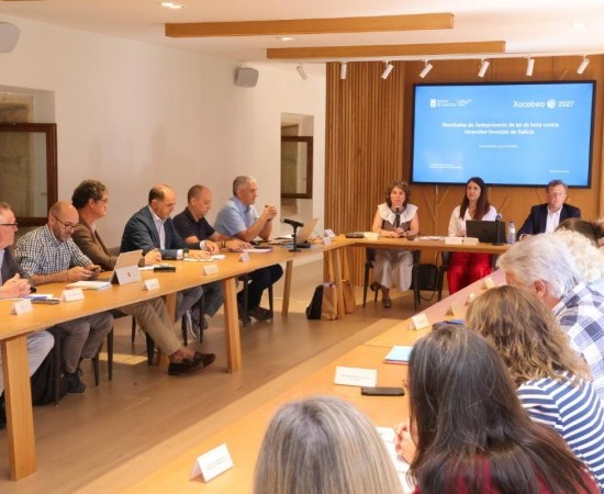 A nova Lei de incendios permitirá a creación de zonas estratéxicas de xestión e a figura da interface urbano-forestal