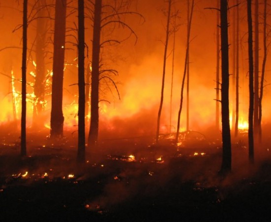 O Pladiga 2026 amplía recursos humanos e aposta pola colaboración cidadá na detección de incendios
