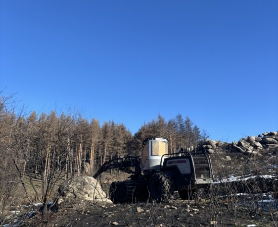 Estudos alertan de que a extracción inmediata de madeira queimada pode aumentar a erosión e dificultar a recuperación do solo