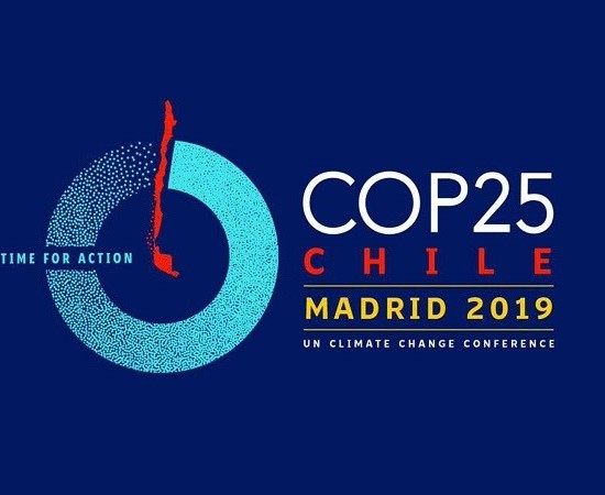 COP25: el pulso entre las organizaciones y el sector político-institucional por la lucha climática internacional