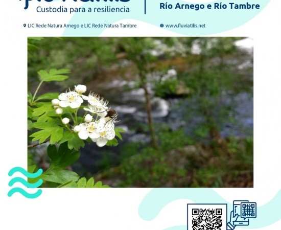 ADEGA organiza un “BioBlitz” nos ríos Tambre e Arnego
