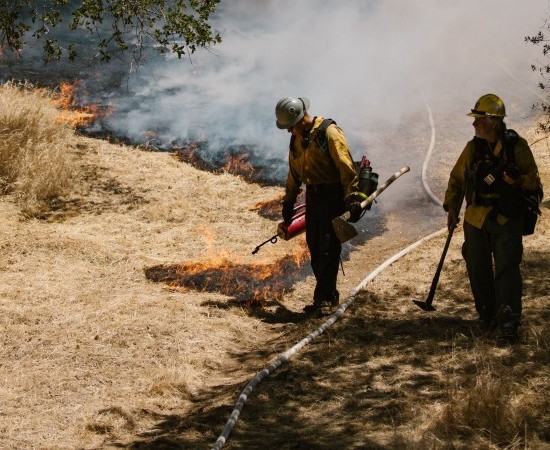 NO,  NO NECESITAMOS MÁS BOMBEROS FORESTALES