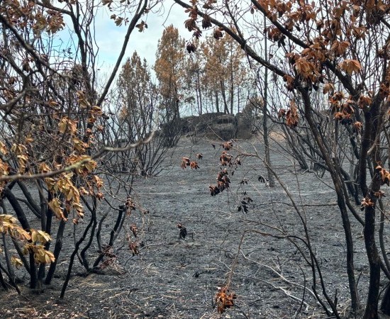 ESTULTICIA INCENDIARIA EN 10 “TIPS” 