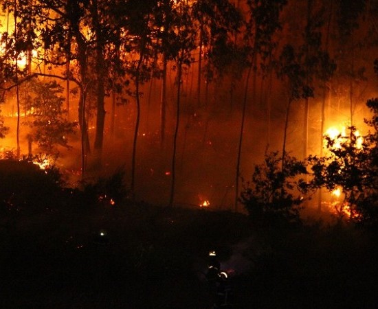 El abandono del rural incrementa el riesgo de grandes incendios forestales