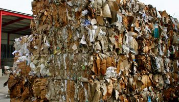 El Congreso Nacional de Reciclaje de Papel cierra los actos por los 50 años de Repacar