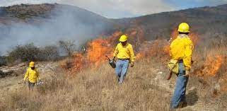 “Por un Monte Galego con Futuro” reclama da fiscalía a apertura de dilixencias polos lumes forestais en Reservas da Biosfera e Rede Natura