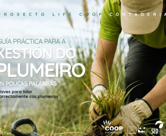GUIA PRÁCTICA PARA A XESTIÓN DO PLUMEIRO