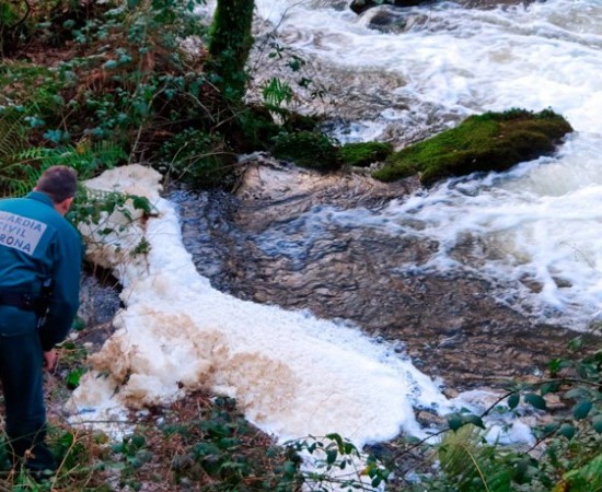 Investigación de un vertido de purín hacia el cauce del río