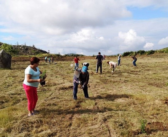 Galicia Ambiental amplía prazo e prazas de inscrición para a plantación do “Voluntariado da Luz” en Chandebrito