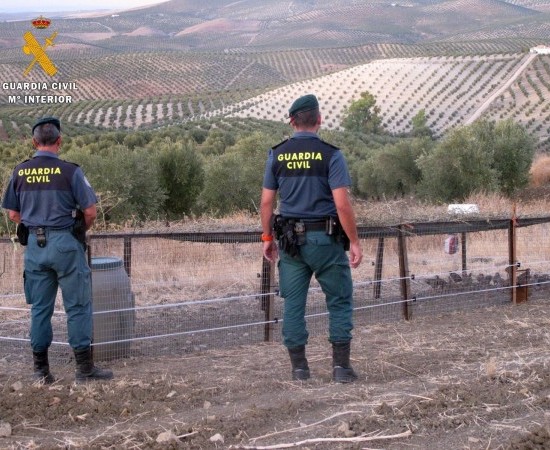 La Guardia Civil crea una Oficina Central Nacional de análisis de información sobre actividades ilícitas medioambientales