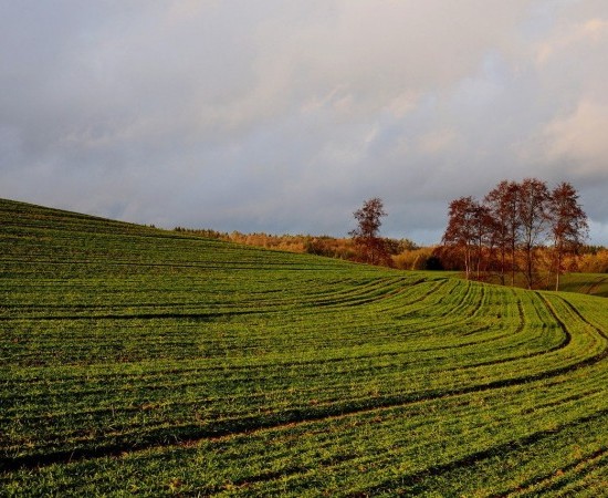 Cambia a normativa sobre fertilización agraria: máis tempo, máis control e novas obrigas para os agricultores