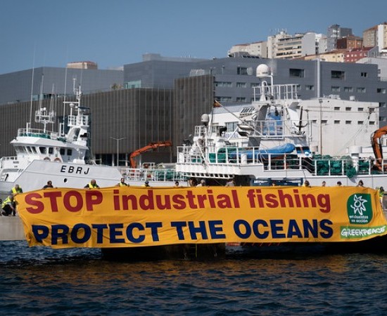 Ecoloxistas en Acción e Greenpeace esixen en Vigo unha xestión sostible da pesca para  salvagardar os océanos