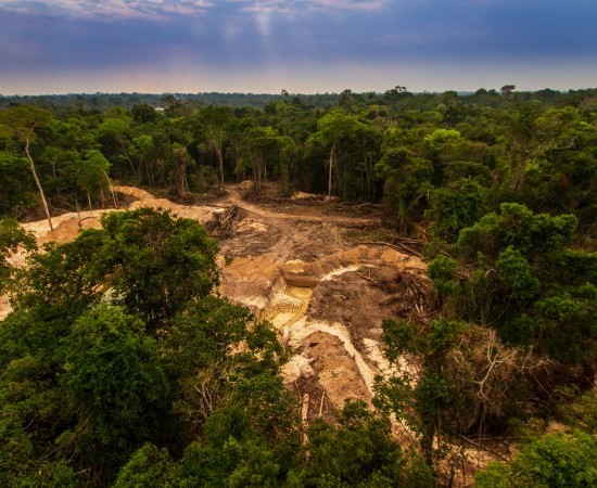 A Nova Regulación da UE contra a Deforestación saca a debate o futuro da industria forestal