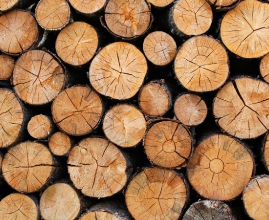 Greenpeace cuestiona la legalidad de la madera utilizada en la construcción de yates de lujo en Vigo