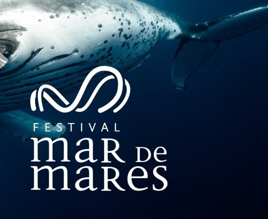 O Festival Internacional Mar de Mares celebra a súa oitava edición