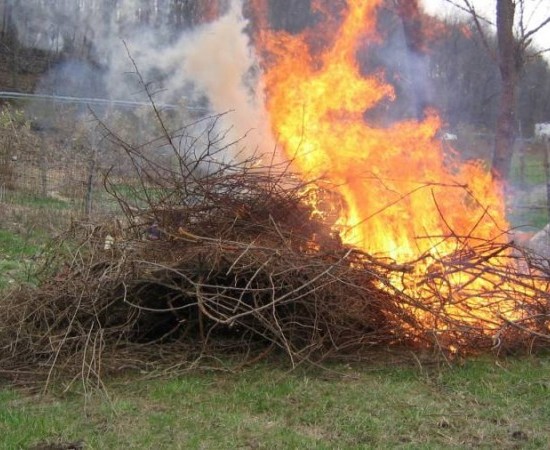 Prohibidas as queimas agrícolas e forestais