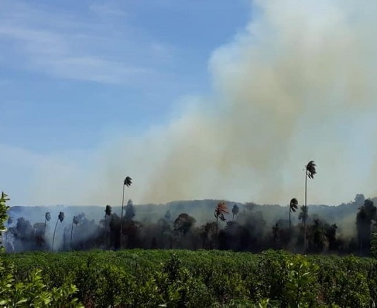 Administracións autonómicas aclaran as dúbidas sobre as queimas agrícolas da nova Lei de residuos