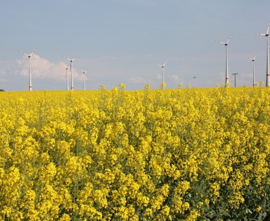 Energías limpias