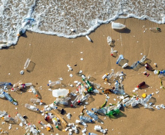 O problema dos residuos nas praias afecta cada ano aos ecosistemas mariños