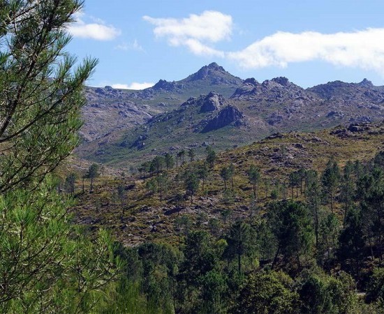 O incendio de Lobeira afecta directamente ao parque natural da Serra do Xurés