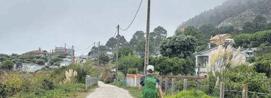 La plaga de los plumachos viaja por el área de Vigo en mochilas de peregrinos