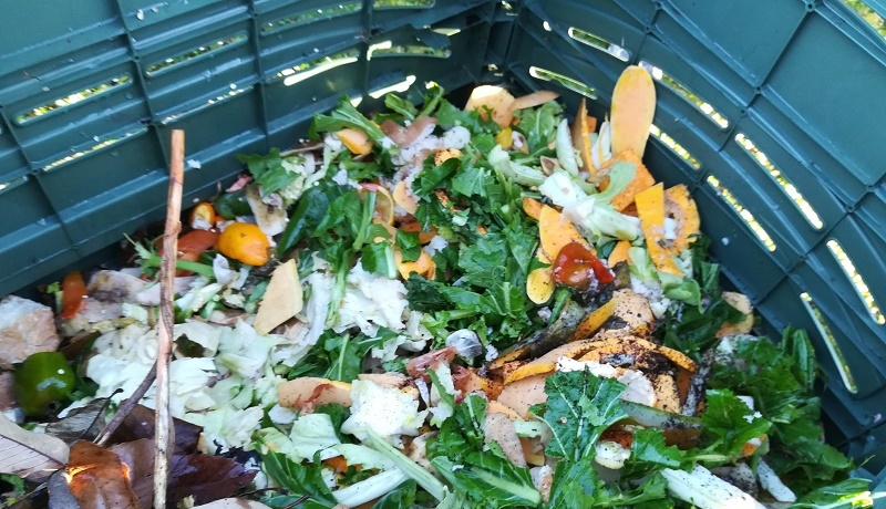 A compostaxe: o gran aliado para mitigar os efectos do cambio climático