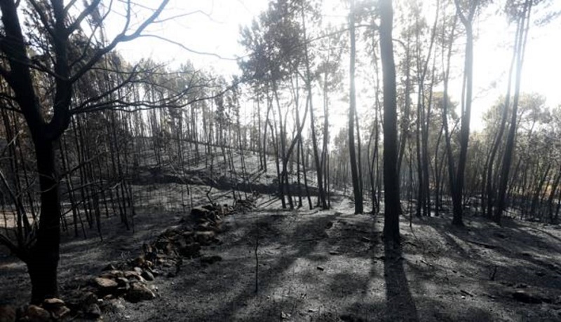 En Galicia o 12% do territorio sofre risco de desertificación