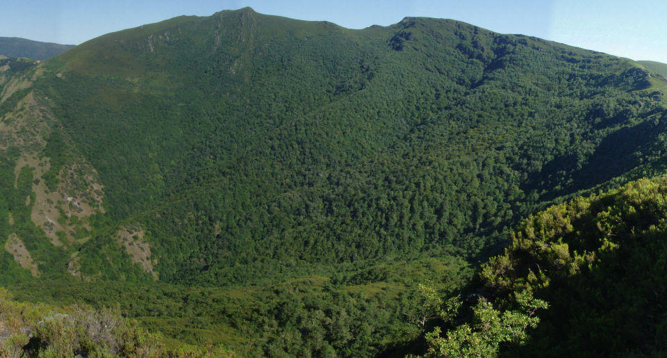 Los comuneros propietarios de Devesa da Rogueira solicitan más ayudas para conservar la biodiversidad de sus bosques